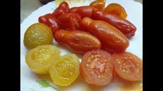 ДЕГУСТИРУЮ КОНСЕРВИРОВАННЫЕ ТОМАТЫ. Ольга Чернова. ДЕГУСТИРУЮ КОНСЕРВИРОВАННЫЕ ТОМАТЫ. Ольга Чернова.