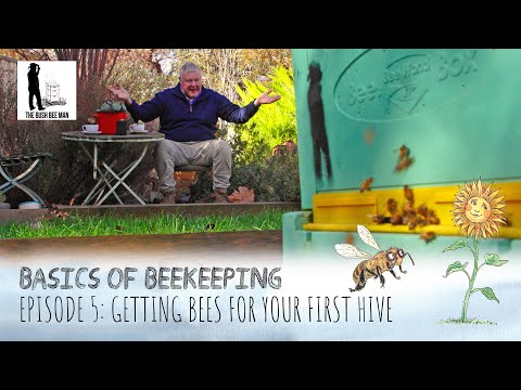 Video: Mají včely rády volňáky?