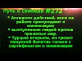 #272 Действия на работе, если просят жижизироваться и другие вести с полей.