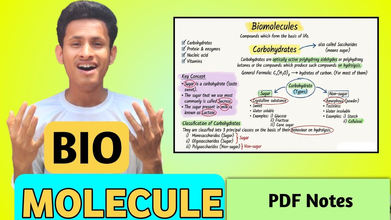 BIOMOLECULE CLASS 12 CHEMISTRY ( PART 2) - YouTube