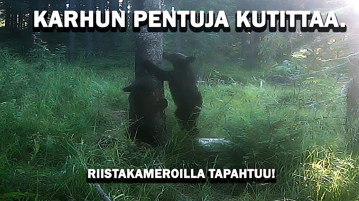 KARHUN PENTUJA JA VILLISIKOJA. Tervapuilla tapahtuu.