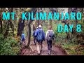 Kilimanjaro - Lemosho Route - Day 8