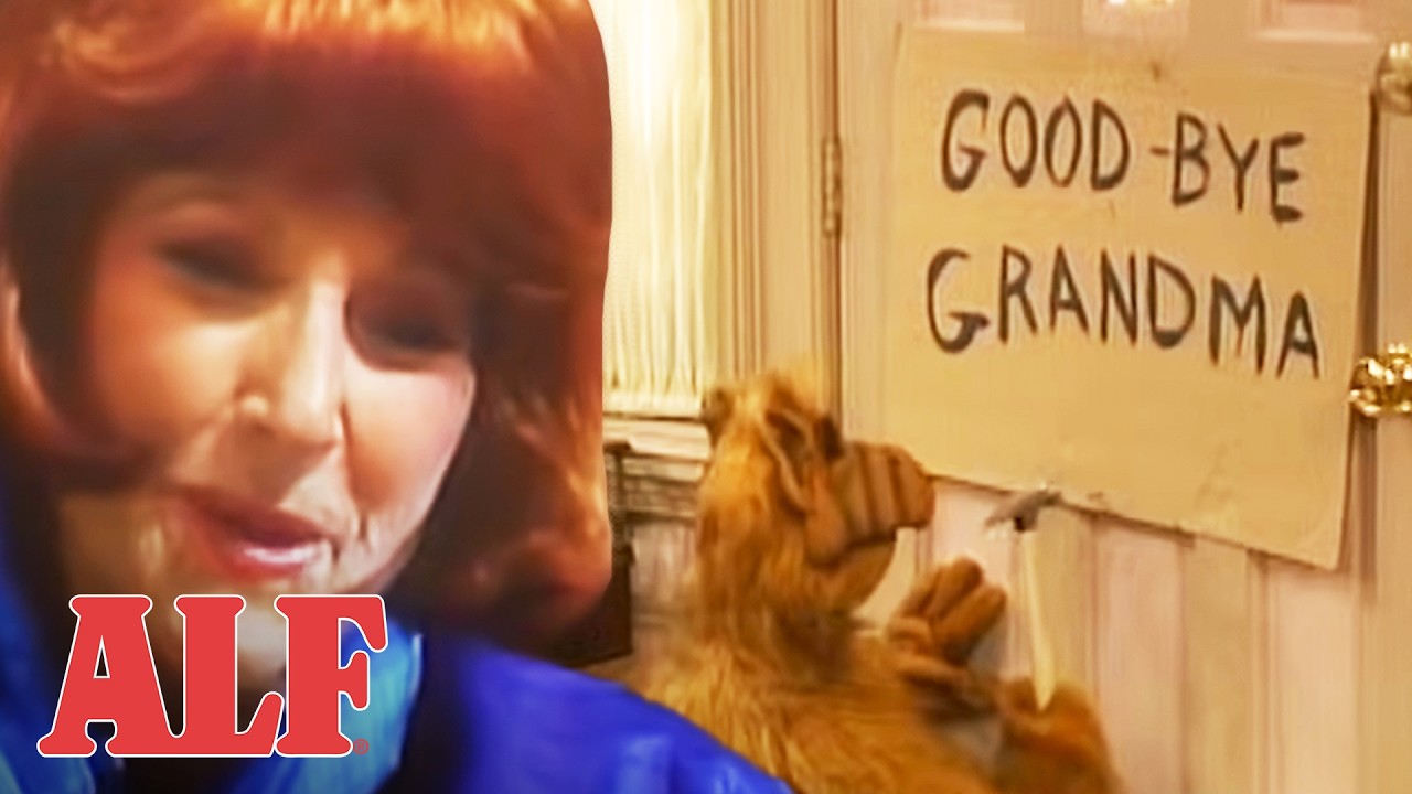 The Best of Season 1 | ALF | Compilation - YouTube