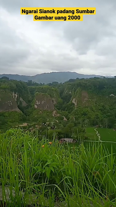 Ngarai Sianok bukit yg di foto digambar Uang 2000