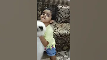القطه بوسي كات 