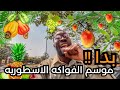 موسم الفواكه الاستوائيه في نيجيريا بدا موسم الفواكه الاستوائيه في نيجيريا بدا