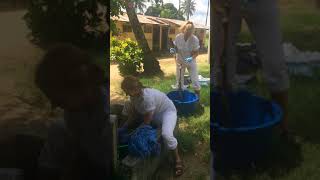 IMG 4045