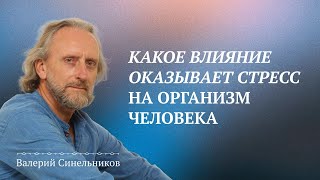 Валерий Синельников/ Влияние стресса на здоровье человека/ Стресс и здоровье человека