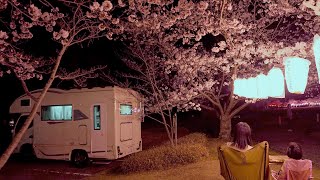 [Subtitle] New Life Begins | Car Camping with CherryBlossom Viewing