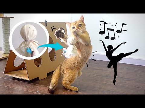 Video: Cách May đồ Chơi Cho Mèo
