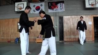 Seminario de Do Am Hapkido, en Alemania