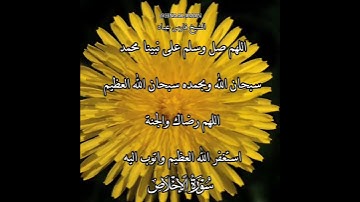 سورة الإخلاص | الشيخ فارس عباد،استغفر الله العظيم واتوب اليه، تلاوه خاشعه(4)