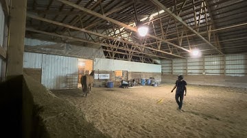 Using the Warwick Schiller method for a ￼herd bound horse