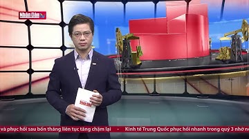 Xuất khẩu gỗ tăng trưởng kỷ lục nhưng ẩn chứa rủi ro