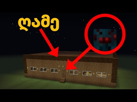 28ე#ღამე ობობები თავს არ მანებებენ! გადავრჩი? გავდევნე ობობები? დავაღწიე თავი? რა მოხდა?