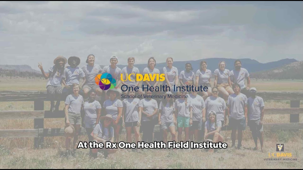 Что такое Rx One Health Field Institute?