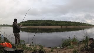Рыбалка в дождь в самую короткую ночь в году/ Первые лещи сезона