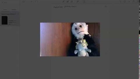 Probability Distributions