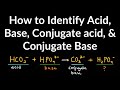 How to Identify Acid, Base, Conjugate Acid, and Conjugate Base Examples and Practice Problems