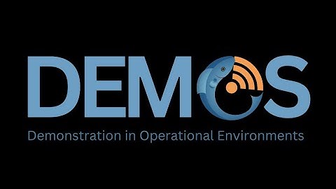 Demo Shorts: iFishIENCi African catfish demo in SmartRAS at AquaBioTech Group