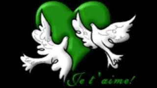 erion qerimi - zemra e braktisur offical video hd