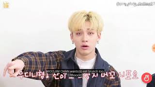 Stray kids Bang chan aegyo [WHYNOT]