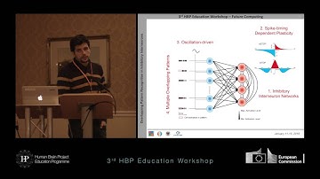 Garrido Jesús: Oscillation-driven spike-timing dependent (...)