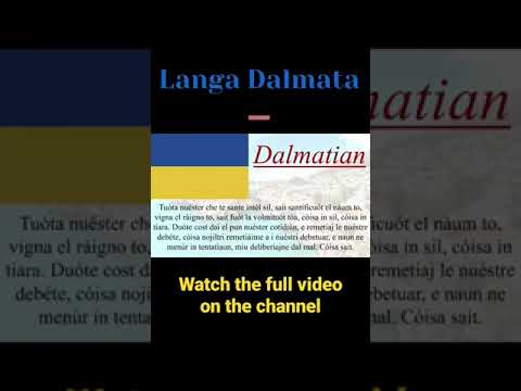 Wideo: dalmatyński