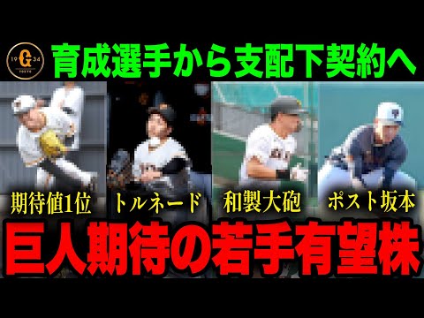 【将来有望】2024年支配下契約を掴めそうな若手有望株の活躍がヤバい！未来の大スター誕生なるか【プロ野球】