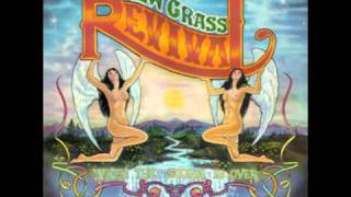 New Grass Revival - Four Days Of Rain chords