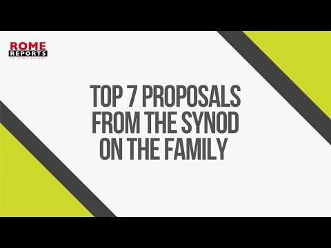 Top 7 proposals from the Synod on the Family