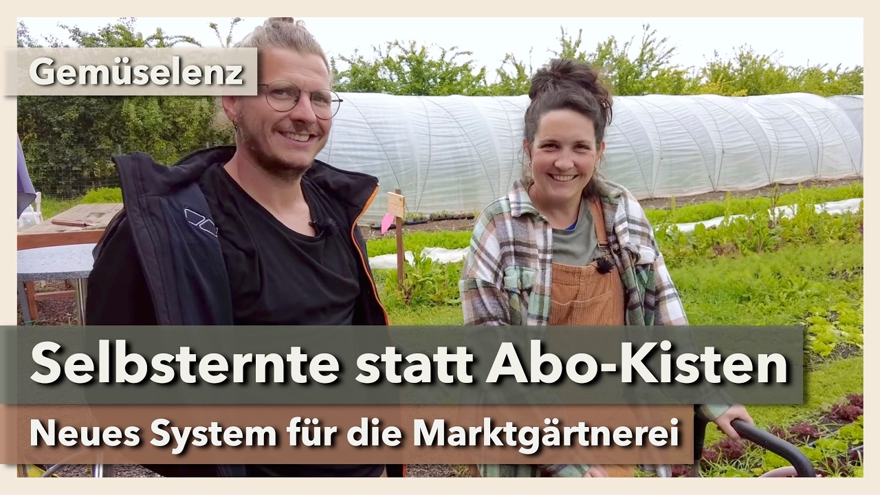 Selbsternte statt Abo-Kisten - Marktgärtnerei mit neuem System | Gemüselenz | 2024 | Teil 1