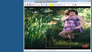 IrfanView Portrait to Landscape