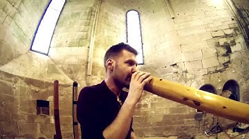 Zalem Delarbre : Holodidg - Prashumna