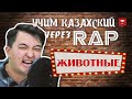 Учим казахский через RAP. ЖИВОТНЫЕ. #5