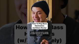 How To Play Bass Harmonics (w/Adam Neely) ✨