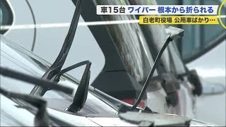 公用車ばかり