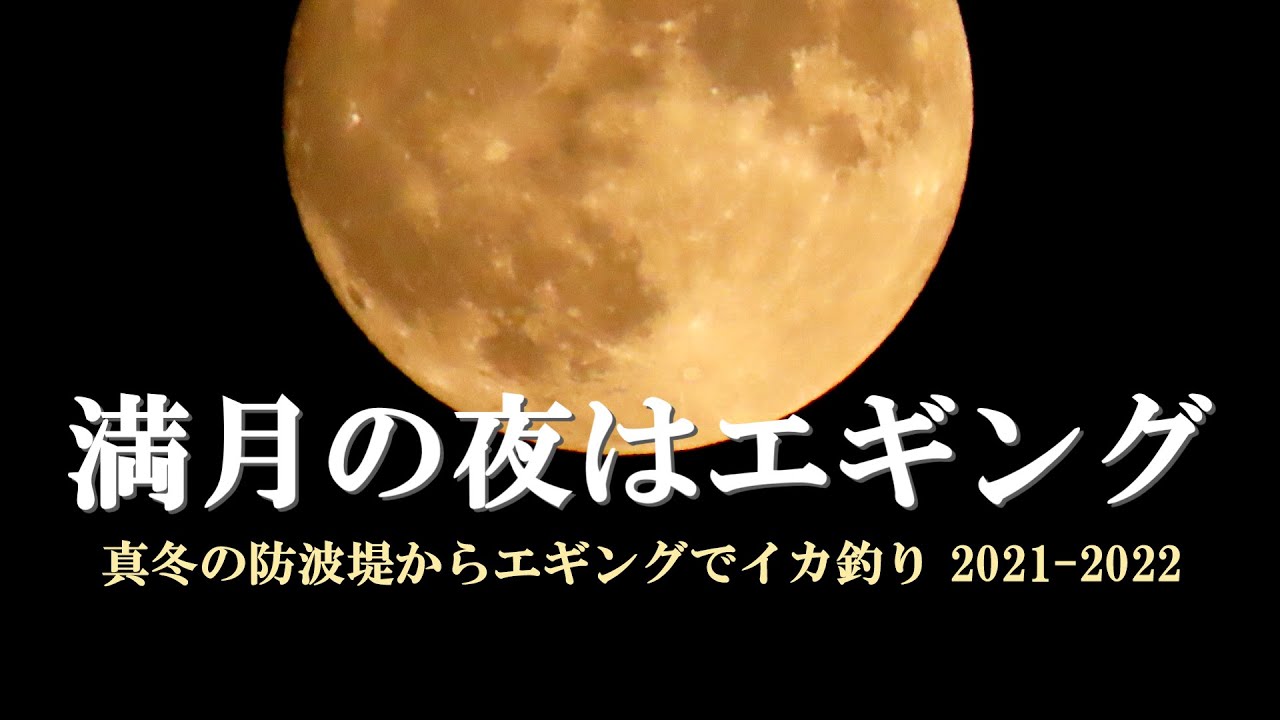 満月の夜 真冬の防波堤からエギングでイカを釣ります イカは月の雫から生まれたのかもしれません 釣り動画に映像エッセイ的要素を組み込みました 真イカ ヤリイカ アオリイカ イカ釣り エギング 邪道エギ Youtube
