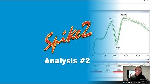 Spike2 Analysis #2 2021