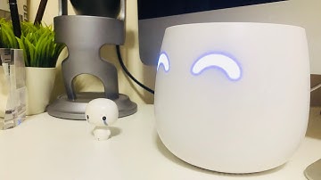 CUJO Smart Firewall- Stay Safe Online