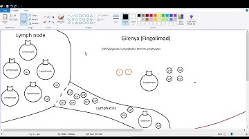 How Gilenya (Fingolimod) Works