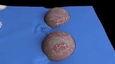 3D ANIMATION Company Hemispheres High Quality Surfaces For Particle Based Fluid Animation