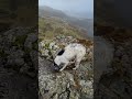CatBells & HighSpy #Hike #hiking #walk #lakedistrict