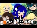 Marinette's Harem || Gachaclub AU || miraculous ladybug