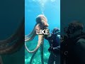 scary ocean creature 😨😱