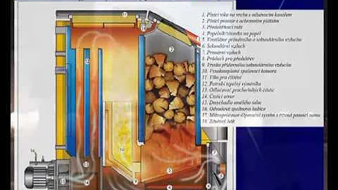 Jaké jsou mikroorganismy půdní biomasy?