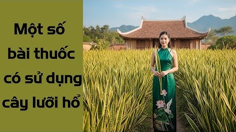 Một số bài thuốc hay từ cây lưỡi hổ bạn tham khảo