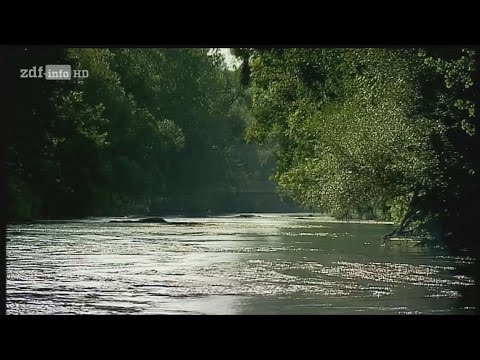 Video: Blumenstadt über Dem Fluss