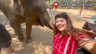 Elephant Sanctuary in Chiang Mai, Thailand! | Things to do in Chiang Mai | Karen Tribe Kerchor