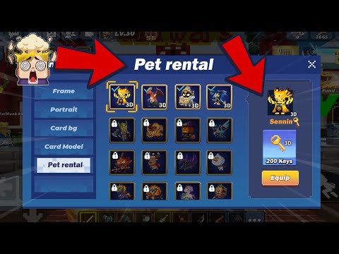 PETS FOR RENT FOR KEYS! in blockman go bed wars FUNNY MOMENTS